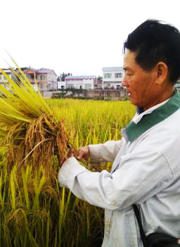 1625821045498925 1625821045498925