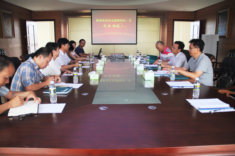 ũҵ���������������������ֳ�һ�е��鲨������