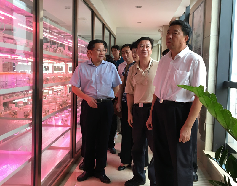 ����ʡ��Э��ϯë�򴺵�����в�������