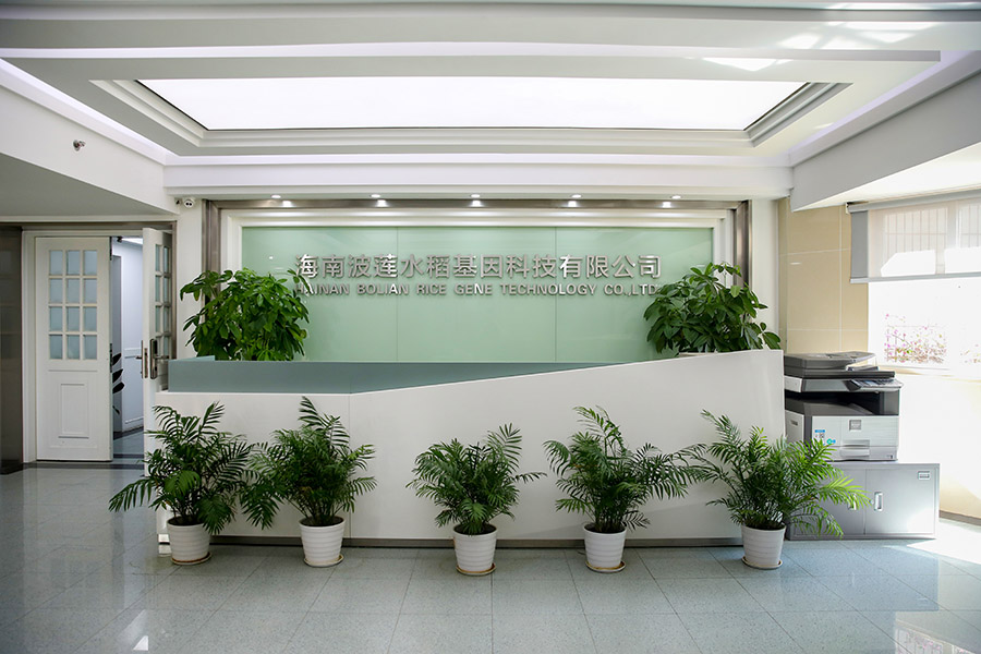 ��˾����Ƭ