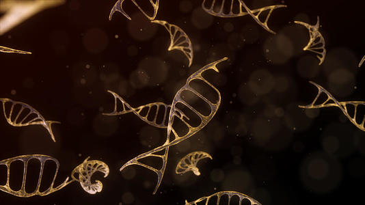 �й�ũҵ��ѧ�ҳ��ν���ˮ����˽����