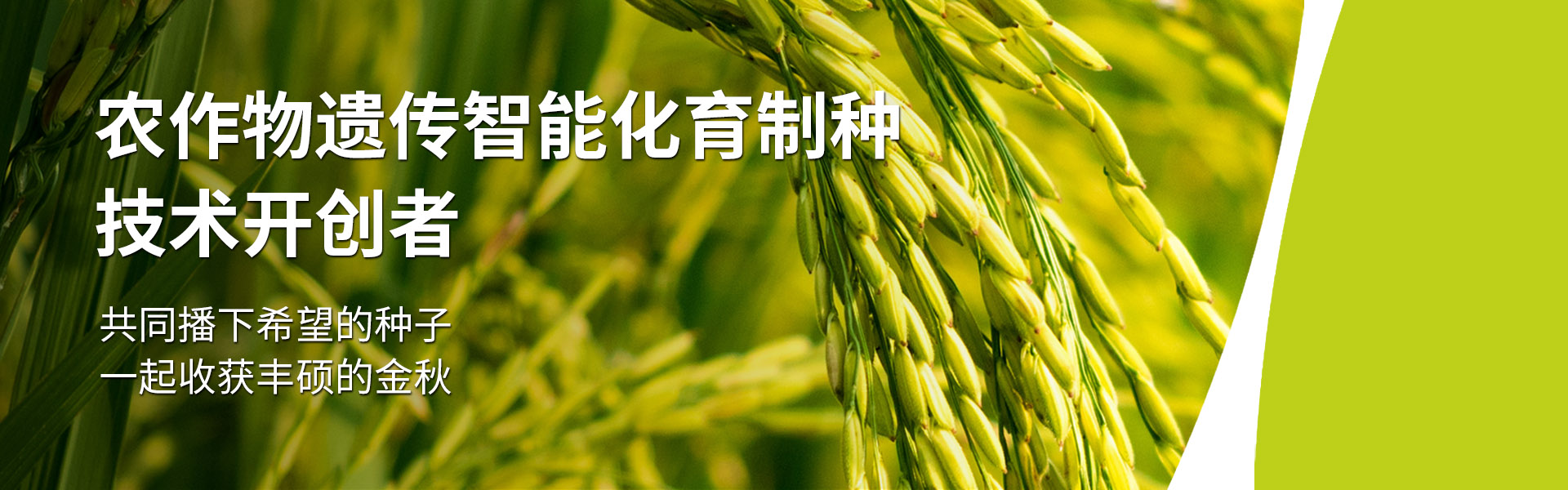 ̸��ɹٷ���վ - רҵ��������ƽ̨