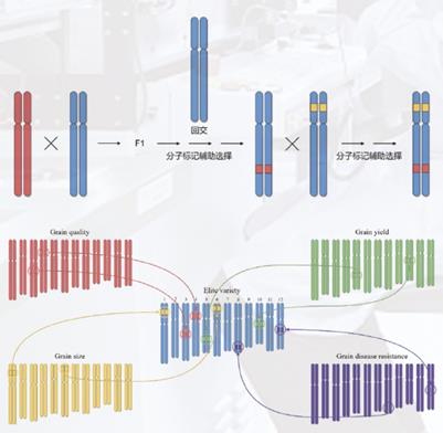 1625833797228061.jpg 1.jpg