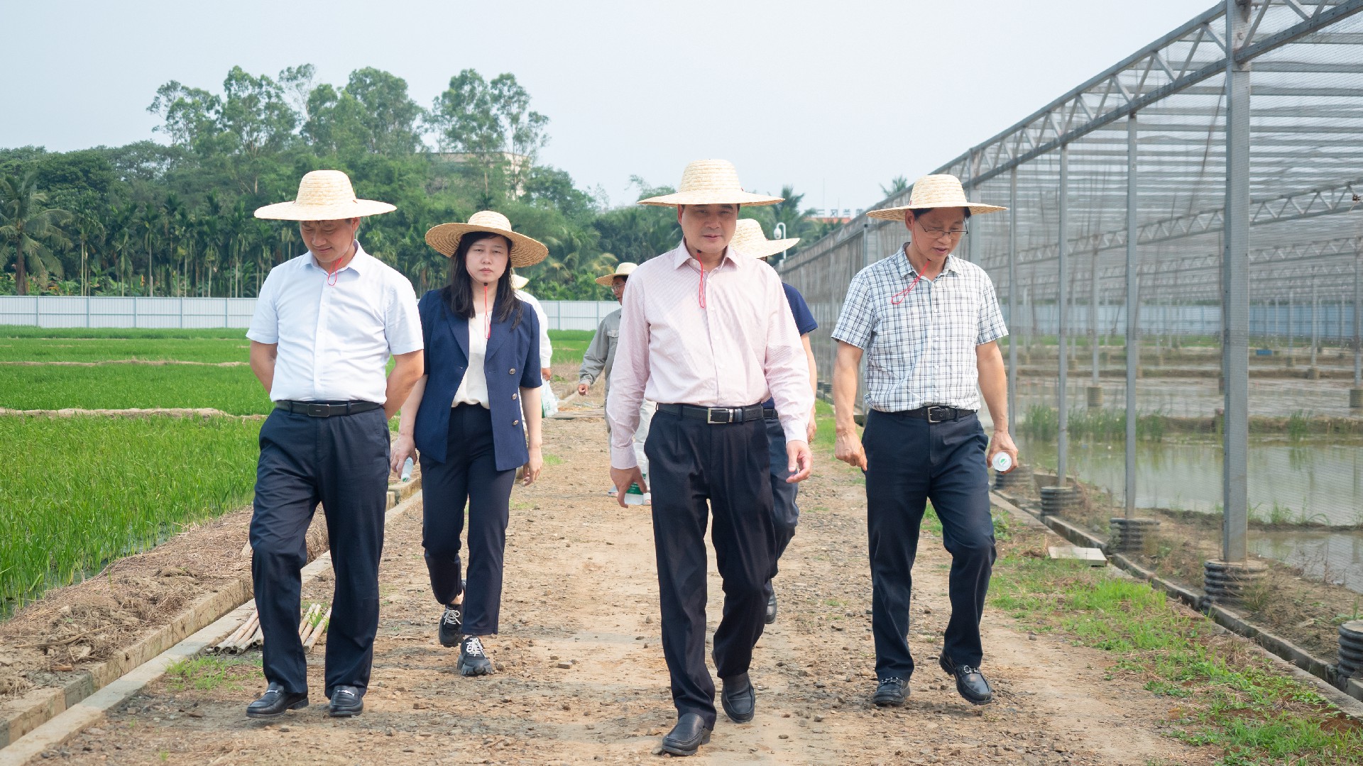 1743147496145702.jpg 1.jpg