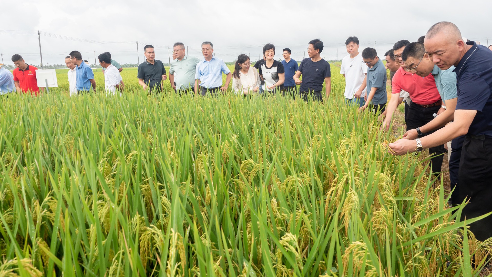 1748771212132043.jpg 1748771212132043.jpg