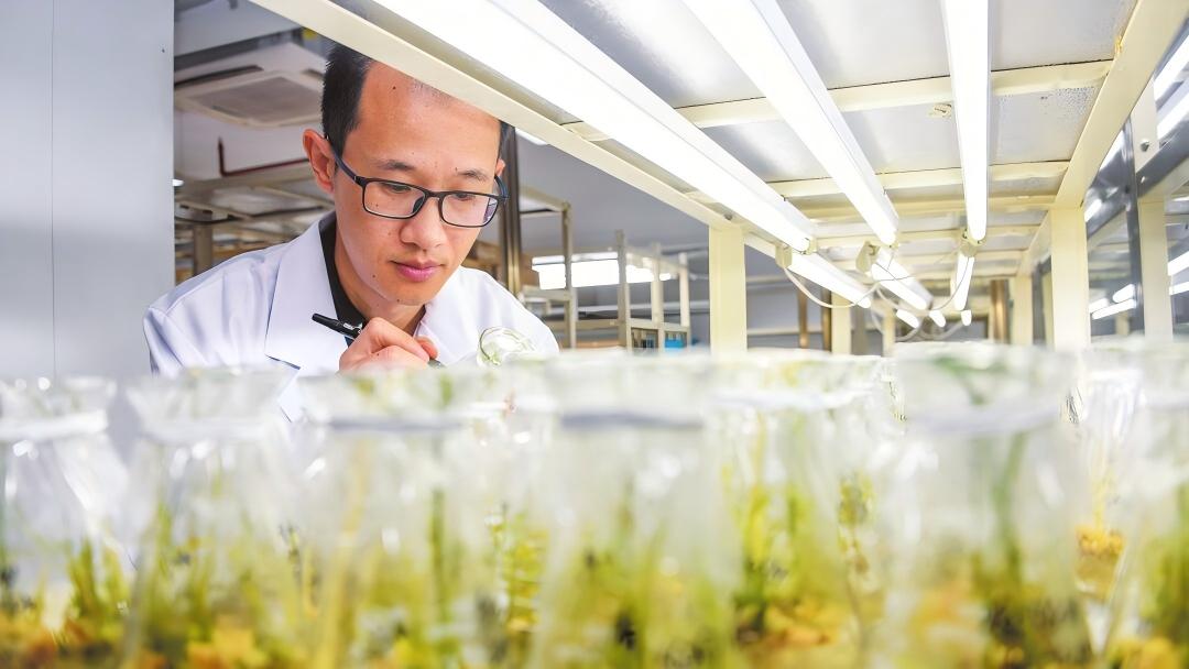 ����������װ������  �Ƽ����ܡ�����·��