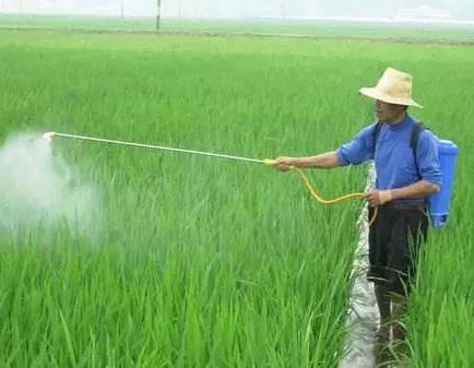 ˮ����ѧ���ݵ�������